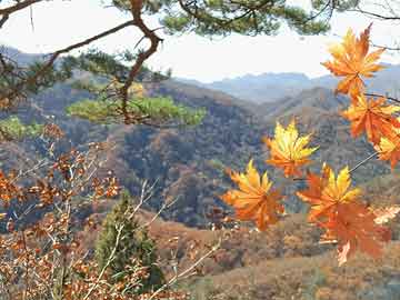 装修师傅