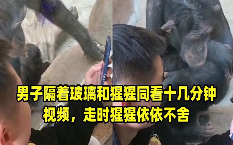 产品中心 第16页
