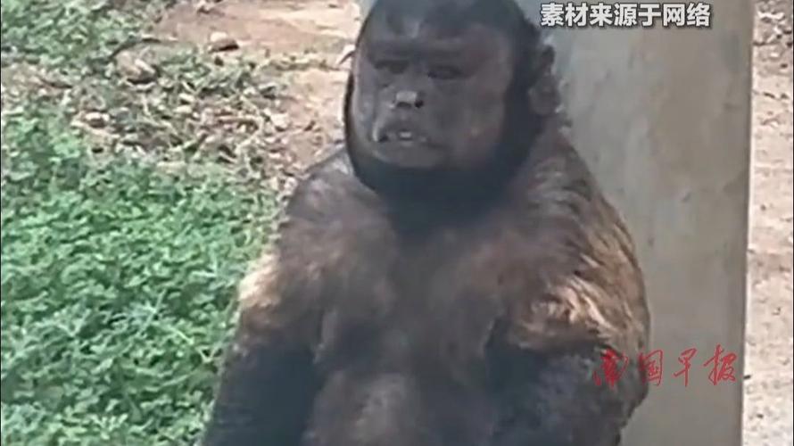 解决方案 第13页